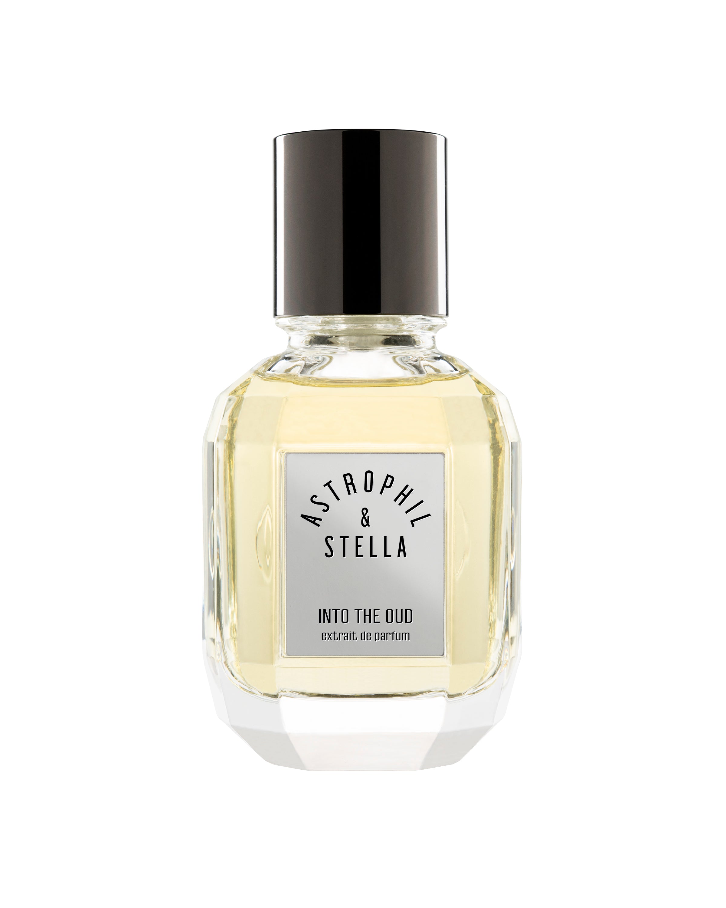 Into the Oud◇ASTROPHIL&STELLA 50ml Into the Oud by Astrophil & Stella